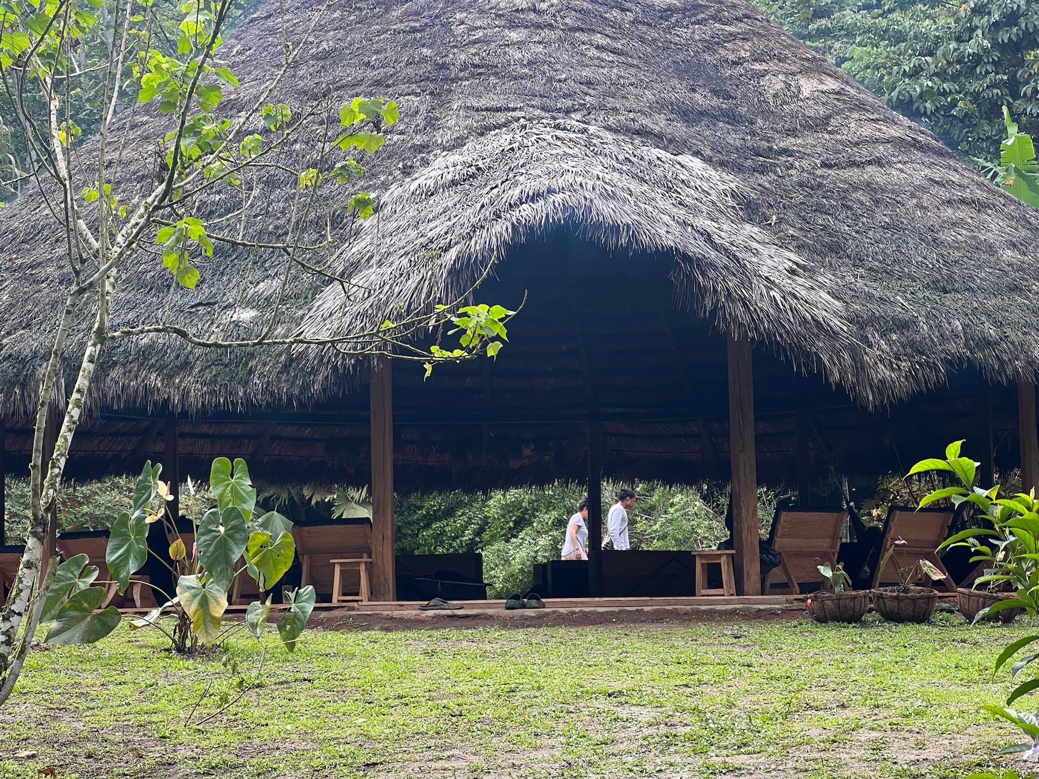 Thatched pavilion ceremony space